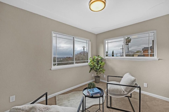 sitting room featuring light carpet