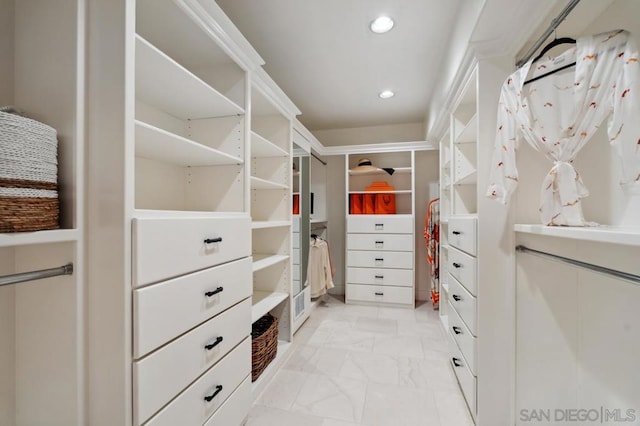 view of spacious closet