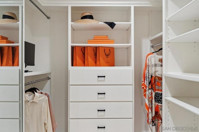 view of spacious closet