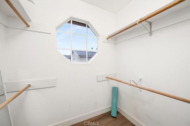 spacious closet featuring wood-type flooring