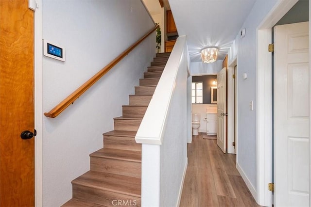 stairs featuring hardwood / wood-style floors