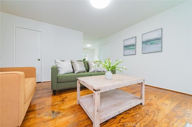 living room featuring light wood-type flooring