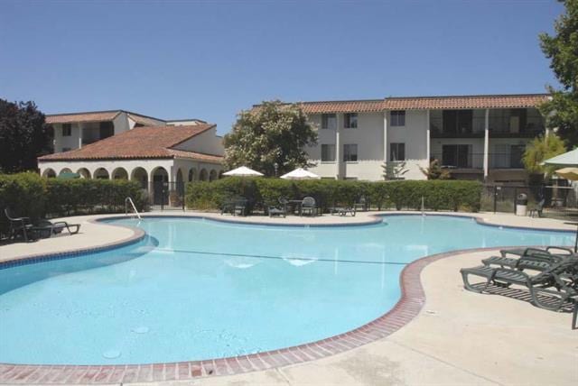 view of pool featuring a patio area