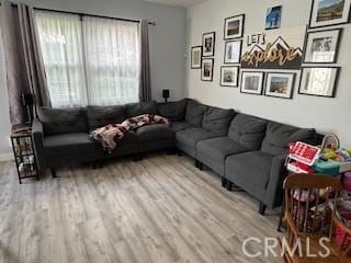 living room with hardwood / wood-style flooring