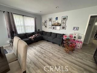 living room featuring light hardwood / wood-style floors