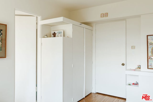 interior space featuring wood-type flooring