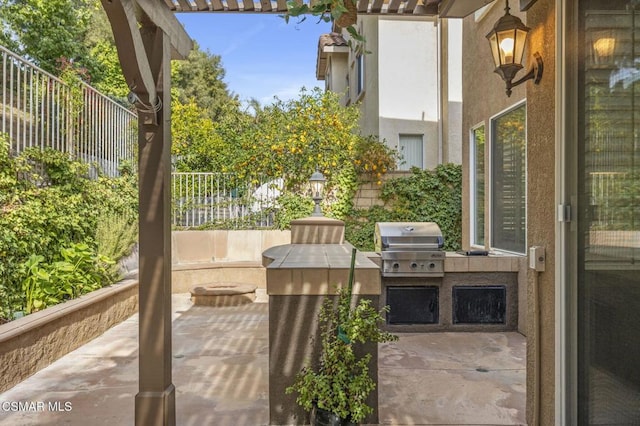 view of patio / terrace featuring area for grilling and exterior kitchen