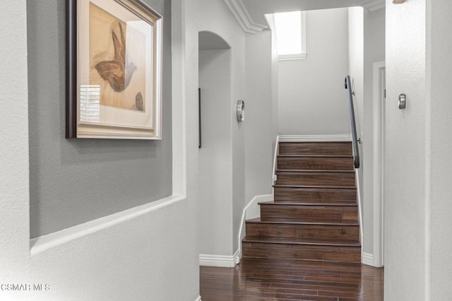 staircase featuring hardwood / wood-style floors