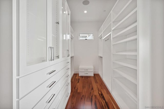 spacious closet featuring dark hardwood / wood-style flooring