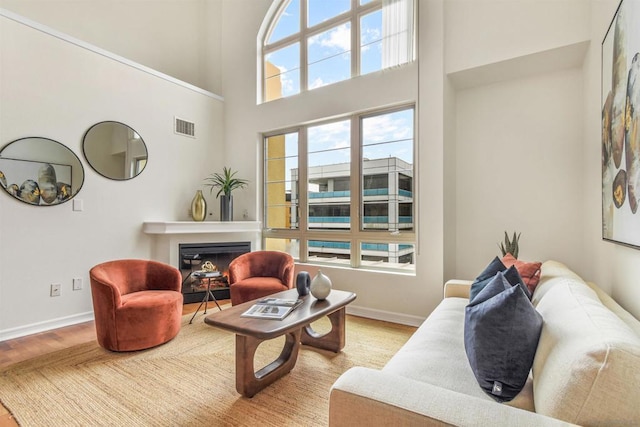 living room featuring a towering ceiling and light hardwood / wood-style flooring