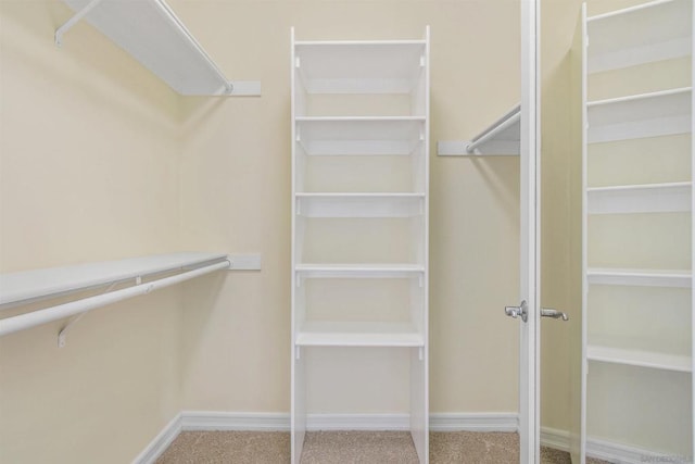 walk in closet featuring carpet