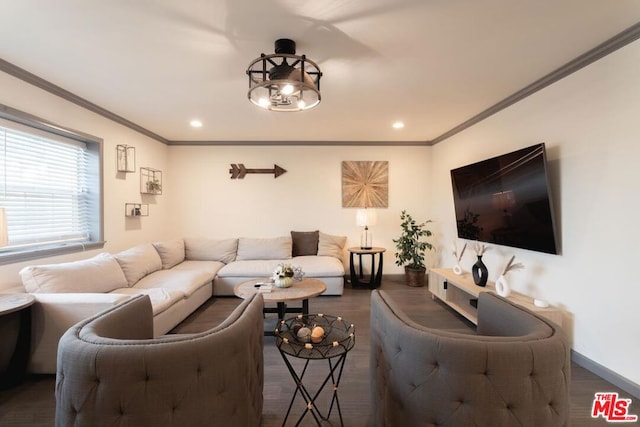 living room with ornamental molding and dark hardwood / wood-style flooring