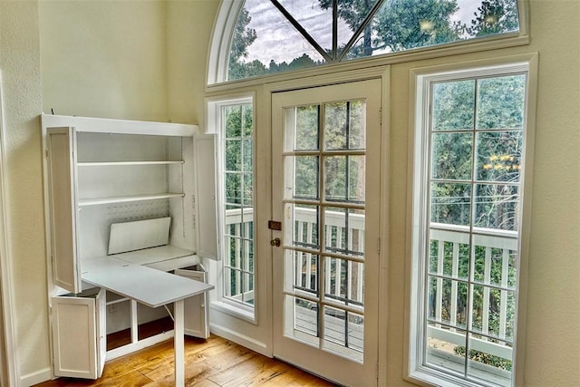 entryway featuring plenty of natural light and light wood-type flooring