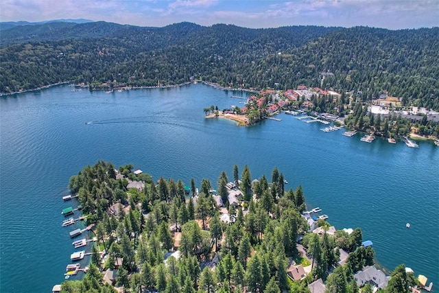 birds eye view of property featuring a water and mountain view