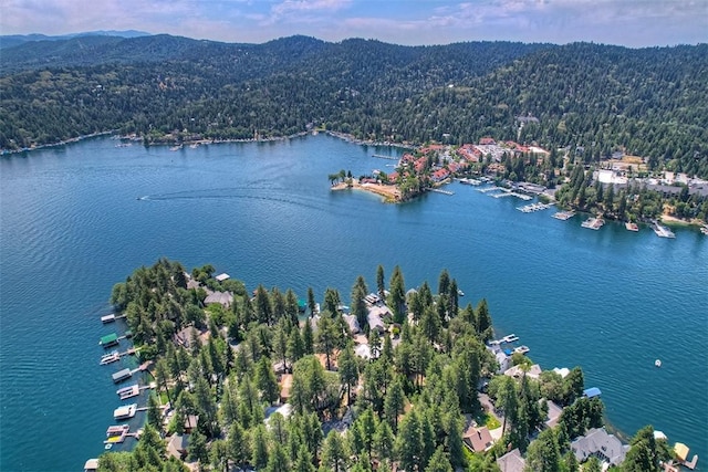 28065 N Peninsula Dr, Lake Arrowhead, CA 92352 - aerial view featuring a water and mountain view and a view of trees