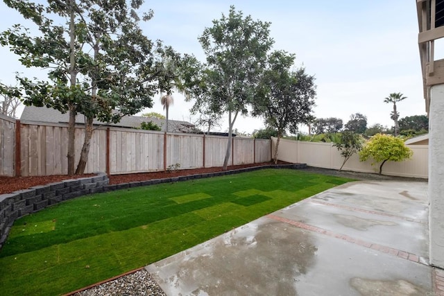 view of yard featuring a patio area