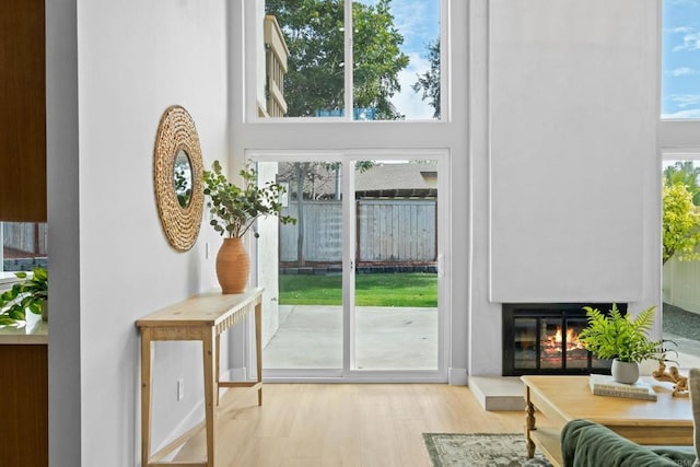 doorway with a healthy amount of sunlight, light wood-type flooring, and a towering ceiling