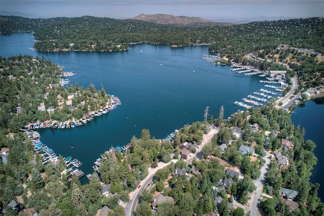 458 State Highway 173, Lake Arrowhead, CA 92352 - photo 50