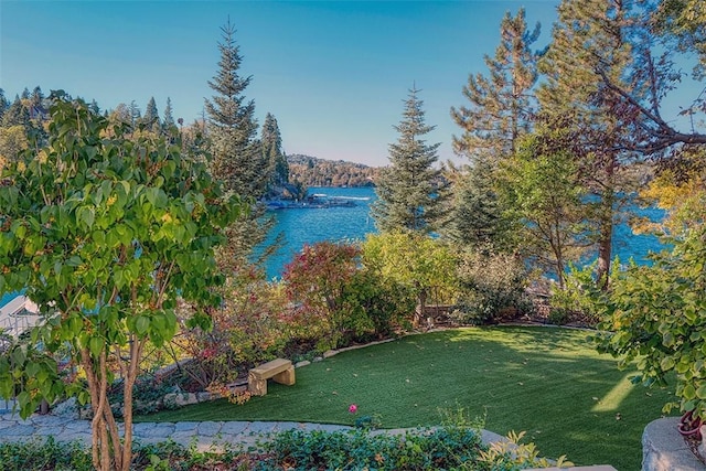 458 State Highway 173, Lake Arrowhead, CA 92352 - photo 29
