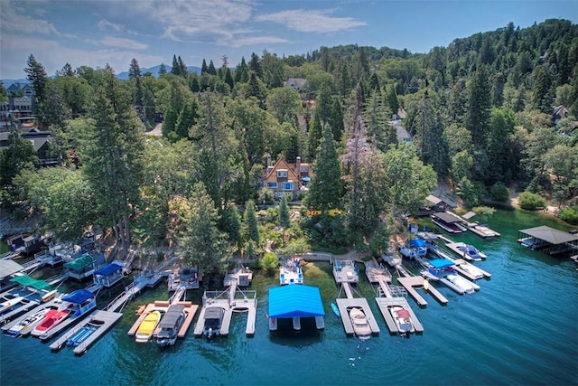 458 State Highway 173, Lake Arrowhead, CA 92352 - photo 46