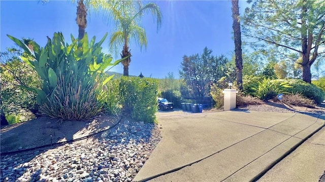 26151 Bellemore Dr, Ramona, CA 92065 - view of yard