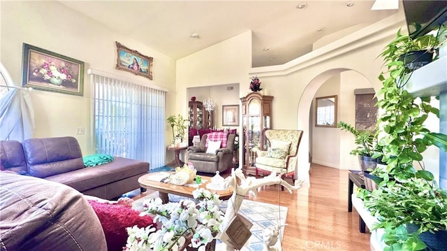 living room featuring high vaulted ceiling and light hardwood / wood-style flooring