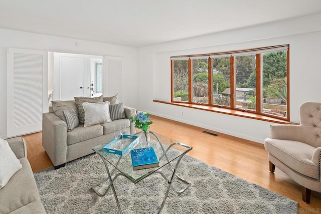 living room with wood-type flooring