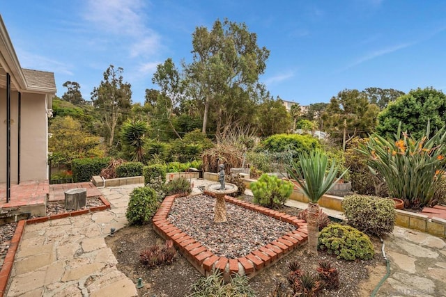 view of yard with a patio area