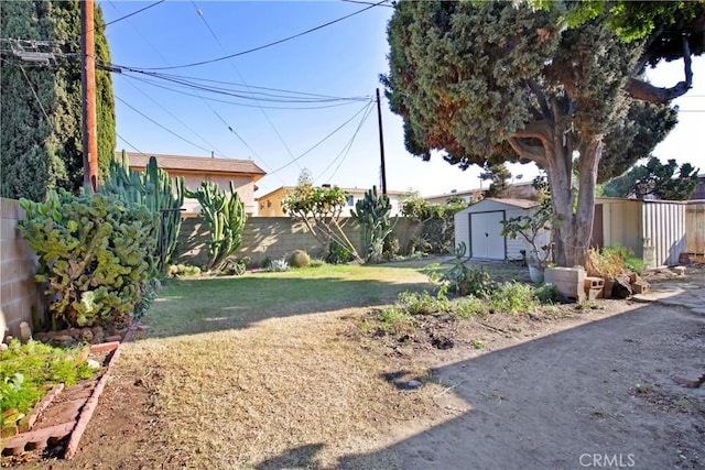 view of yard with a shed