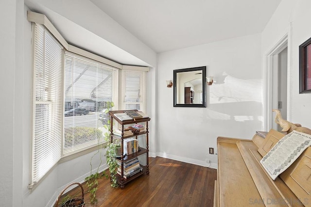 office with dark hardwood / wood-style floors