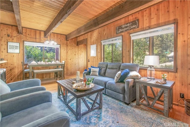 living room with beam ceiling, a wealth of natural light, wood-type flooring, and wooden walls