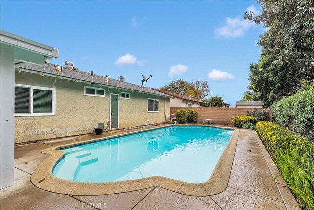 view of swimming pool with a patio and a diving board