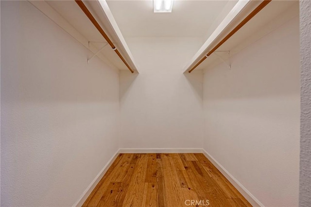 spacious closet featuring light wood-style flooring
