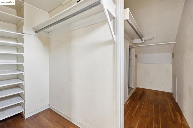 walk in closet with dark wood-type flooring