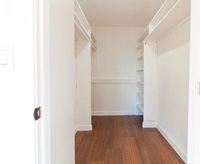 spacious closet featuring dark hardwood / wood-style floors