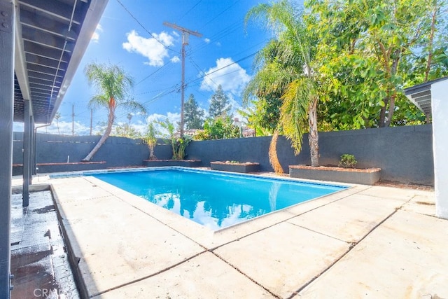 view of swimming pool with a patio