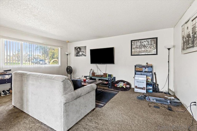 living room with carpet flooring and a textured ceiling