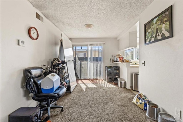 miscellaneous room featuring a textured ceiling and carpet