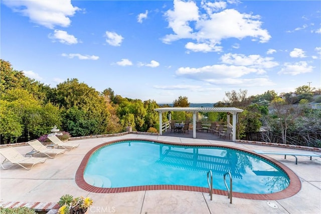 view of pool featuring a patio, a diving board, and a pergola