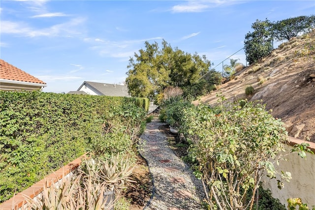 2572 Sunset Dr, Riverside, CA 92506 - view of yard
