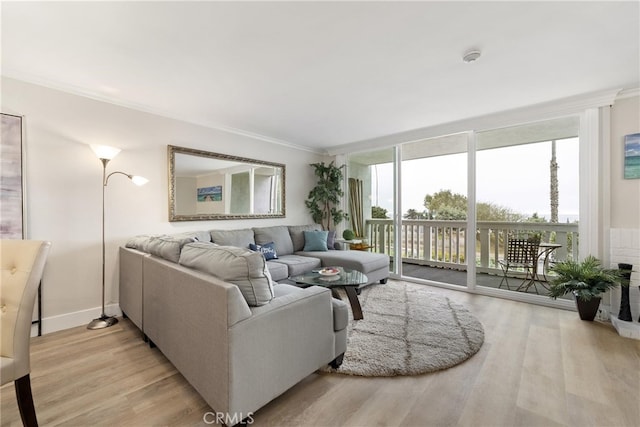 living room with expansive windows, ornamental molding, and light hardwood / wood-style flooring