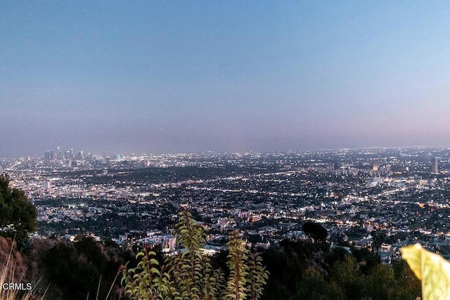 8326 Grand View Dr, Los Angeles, CA 90046 - city view