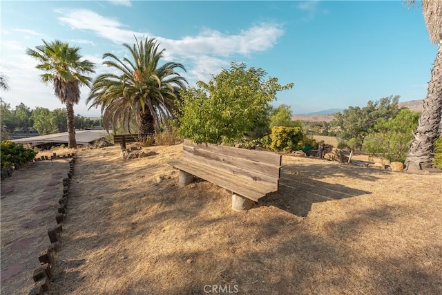 view of yard with a rural view