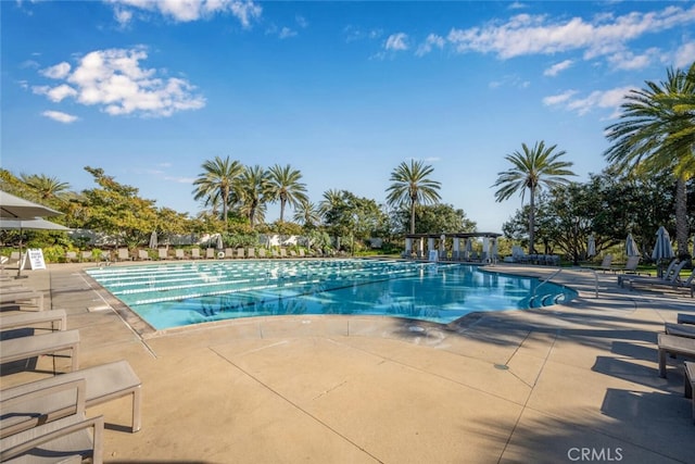 view of pool with a patio area