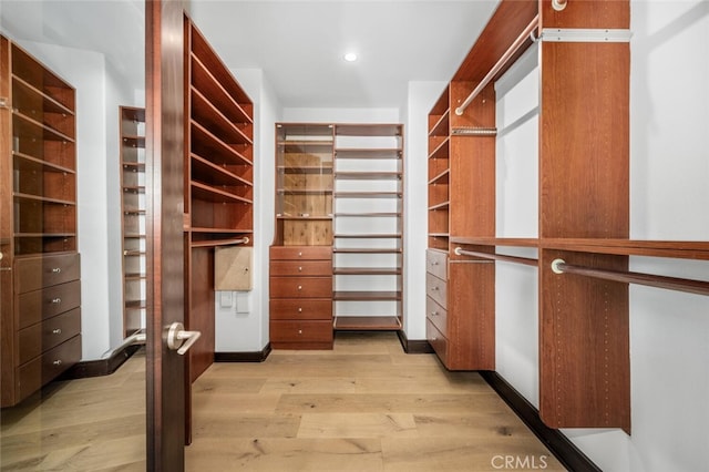 spacious closet featuring light wood-type flooring