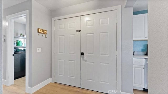 foyer entrance featuring light wood-type flooring