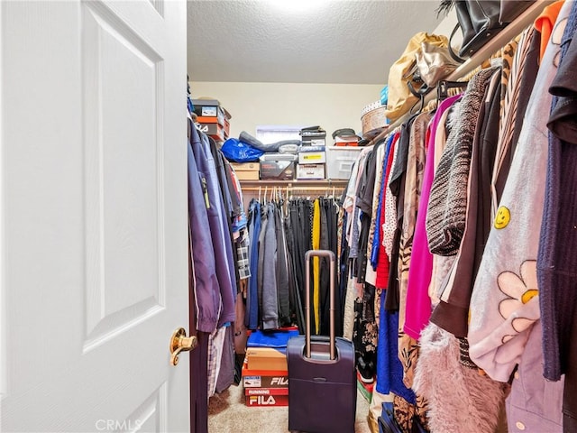 spacious closet with carpet floors