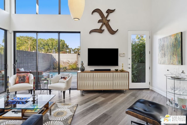 living room featuring wood-type flooring and a high ceiling