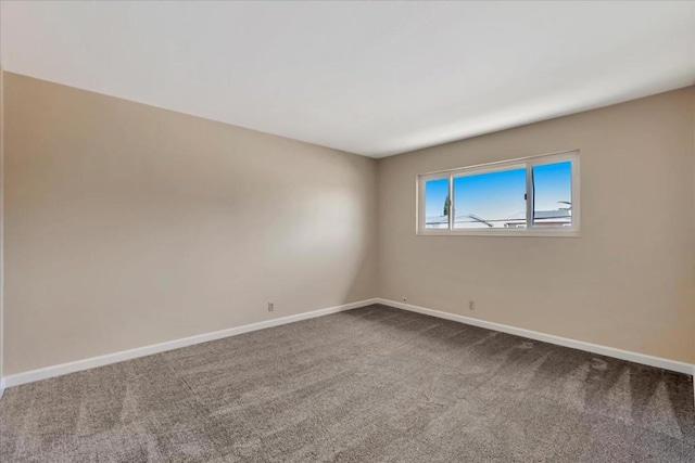 spare room with carpet floors