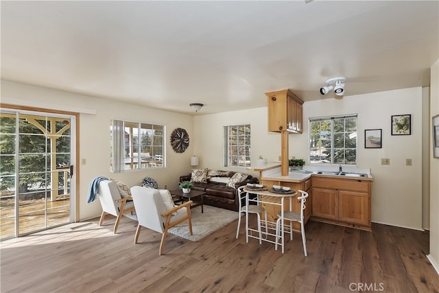 kitchen with sink, dark wood-type flooring, and a wealth of natural light